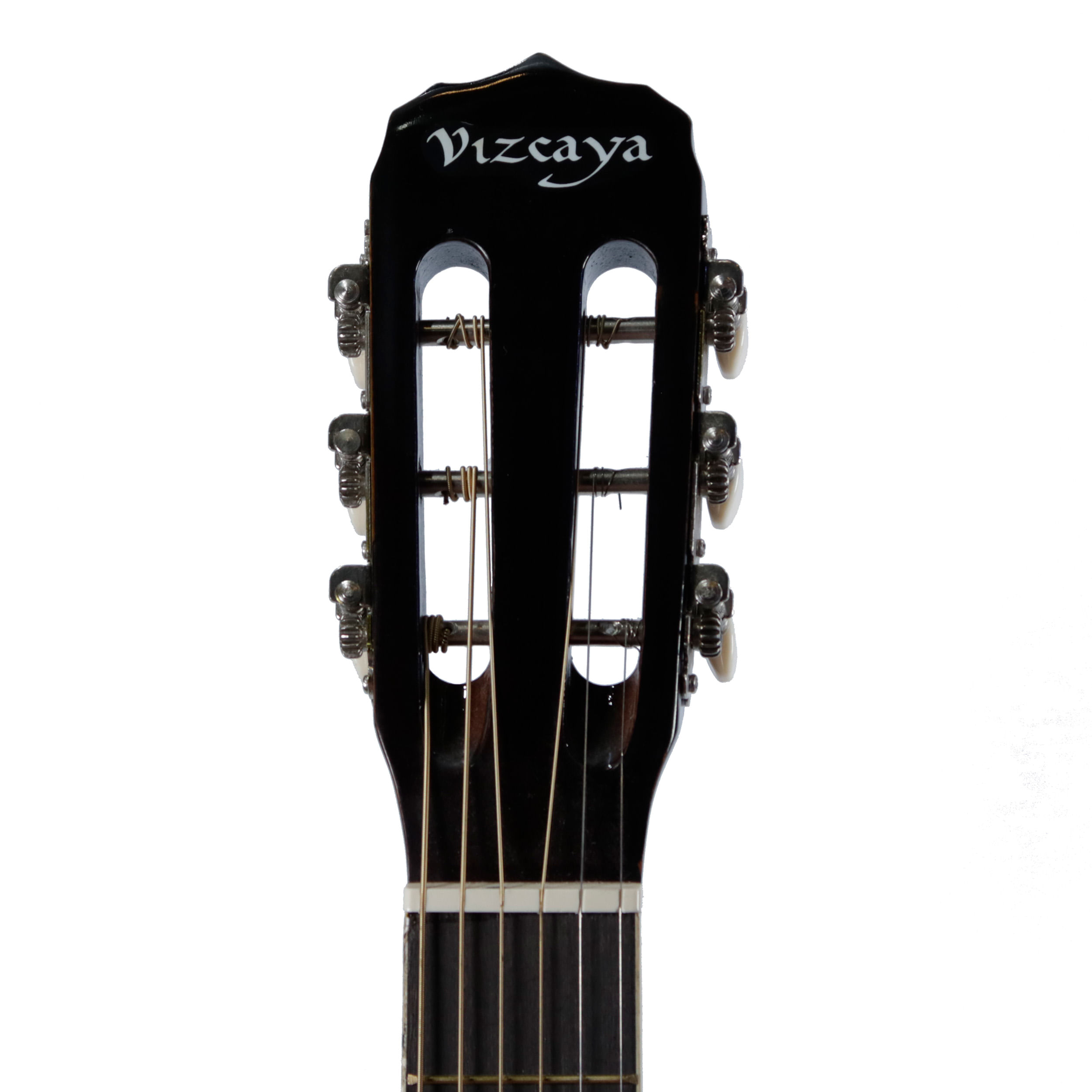 Guitarra acústica Vizcaya ARFG94 - Black foto 5