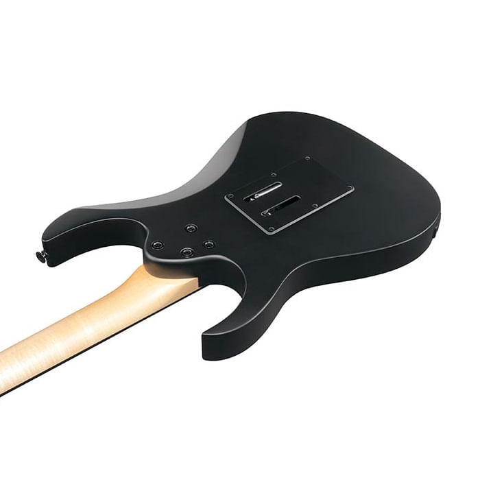 Guitarra eléctrica Ibanez GRGR330EX BKF Black Flat foto 5