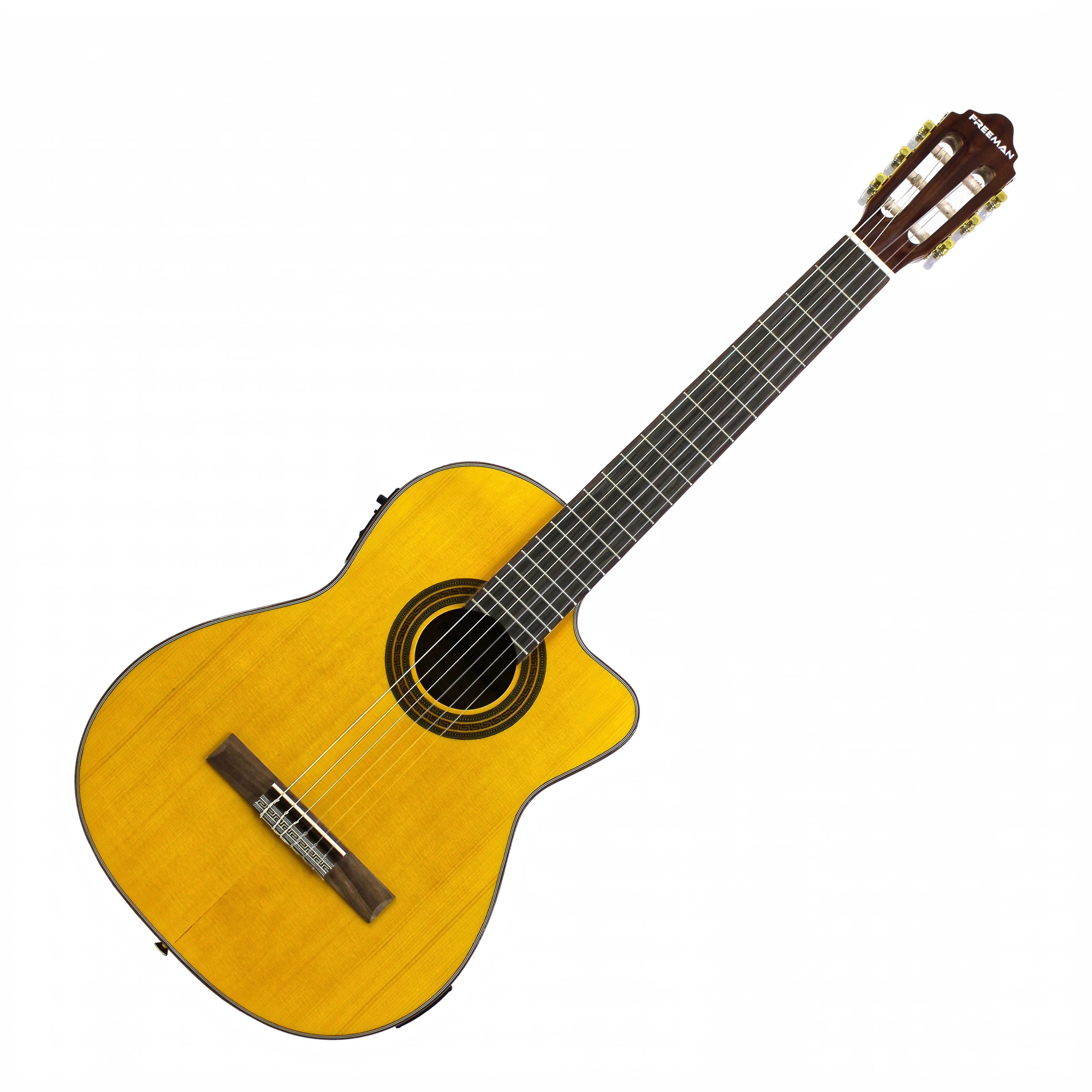 Guitarra electroacústica Freeman C112-EN NT