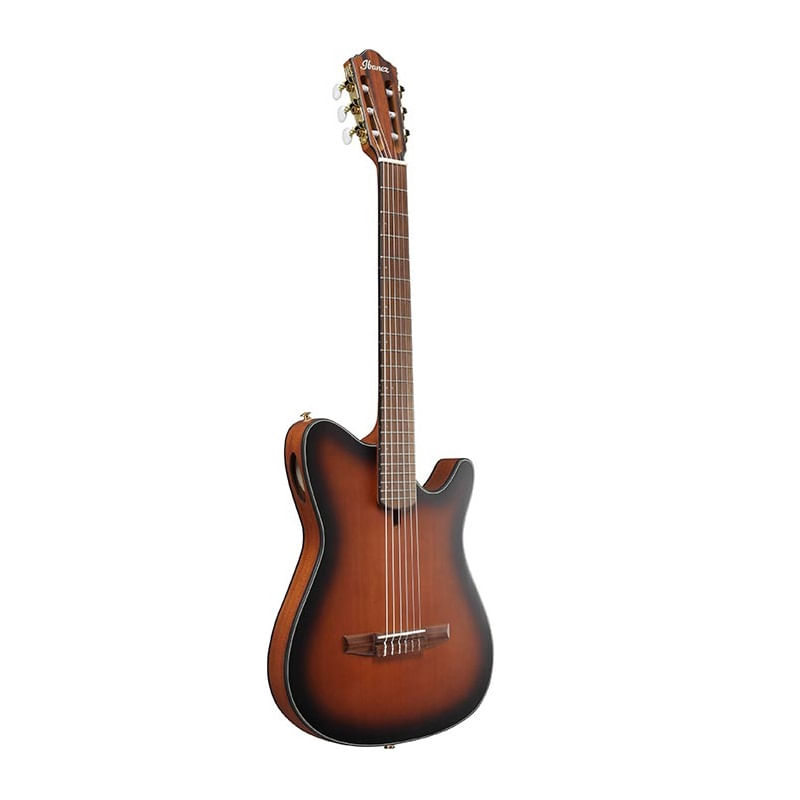 Guitarra electroacústica Ibanez FRH10N BSF foto 2