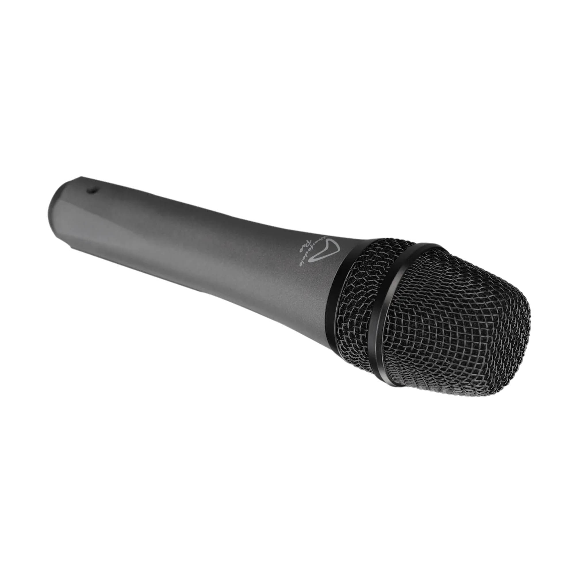 Micrófono dinámico Wharfedale DM 5.0 PRO foto 3