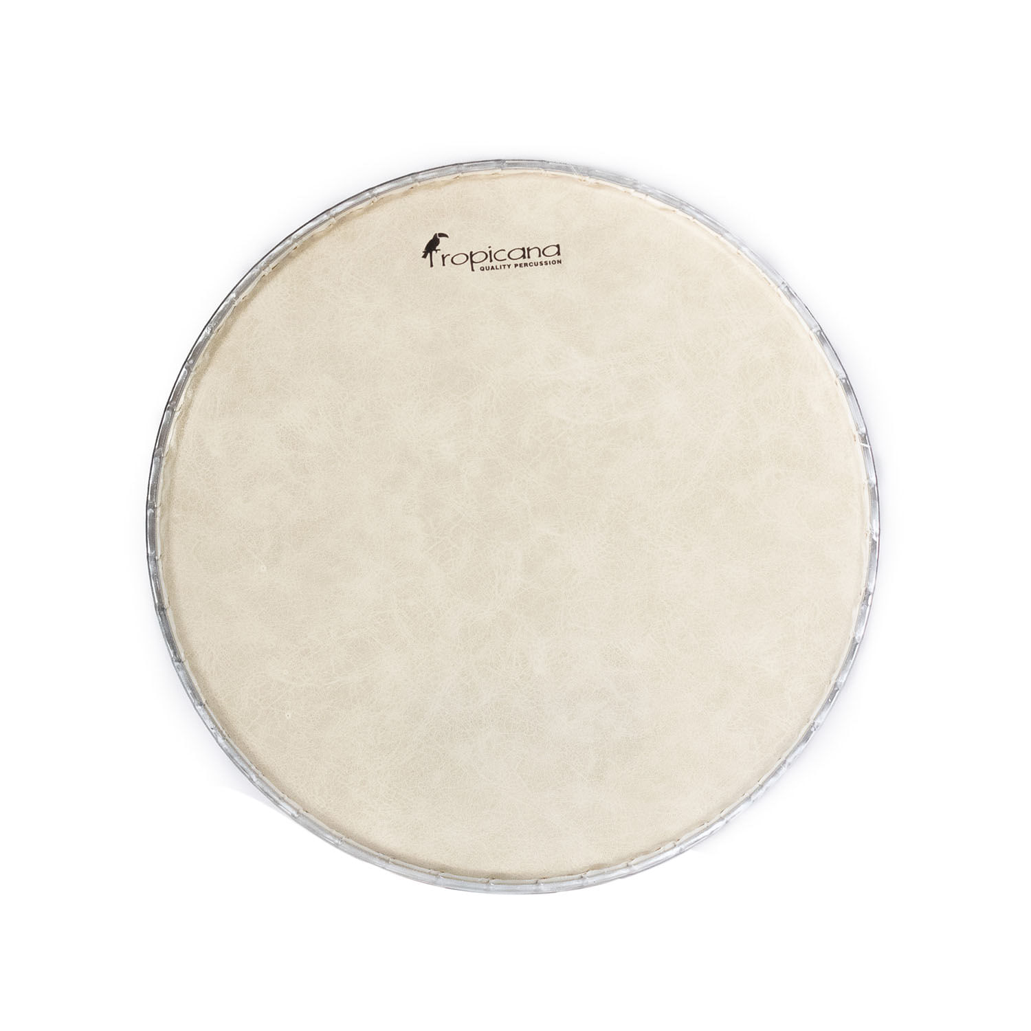 Parche para djembe Tropicana 57-0012-SW NT - Color natural
