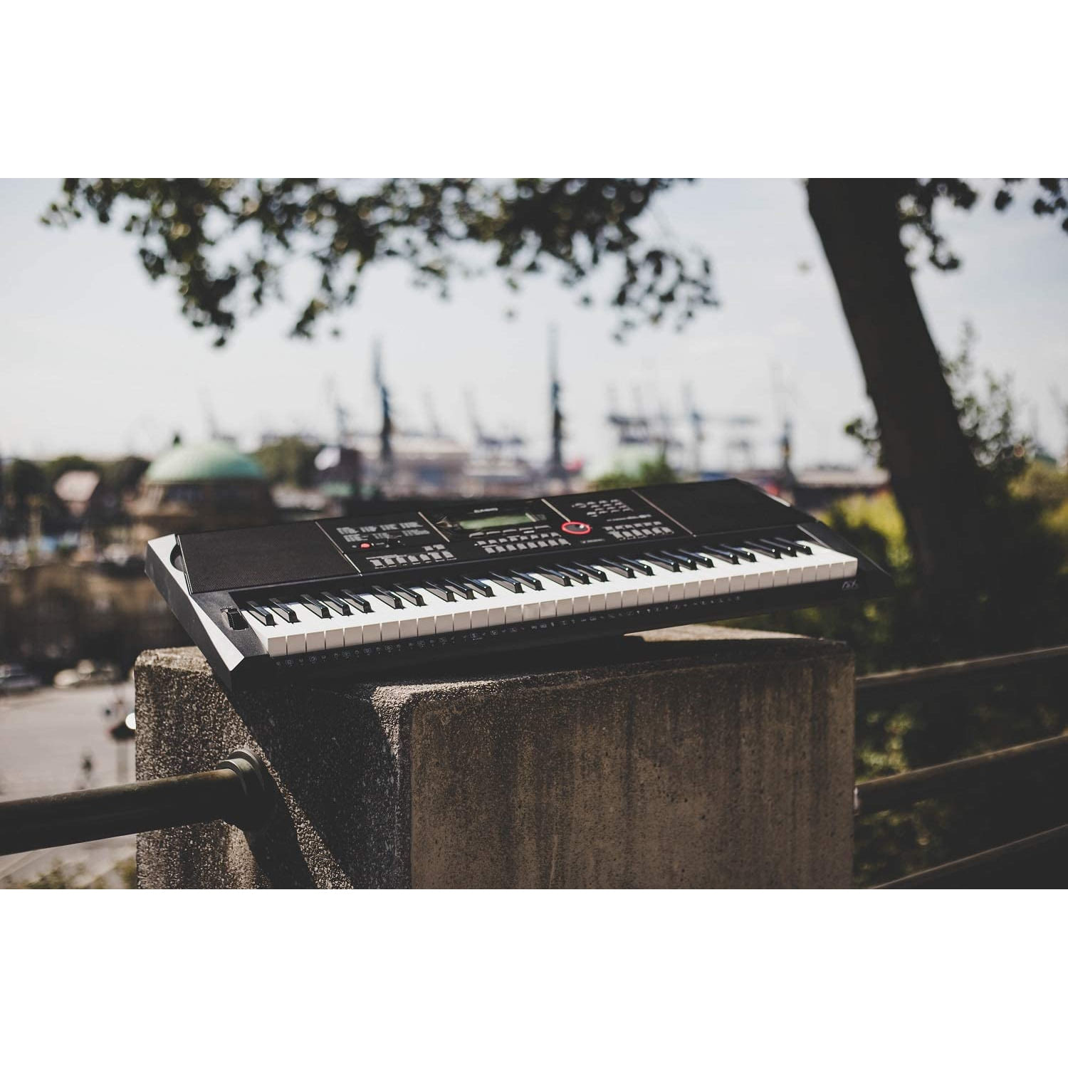 Teclado personal Casio CT-X3000 foto 4